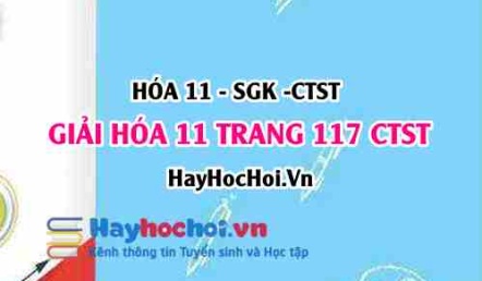 Giải Hóa 11 Chân trời sáng tạo trang 117